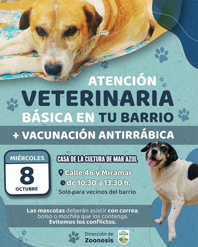 Imagen Noticia