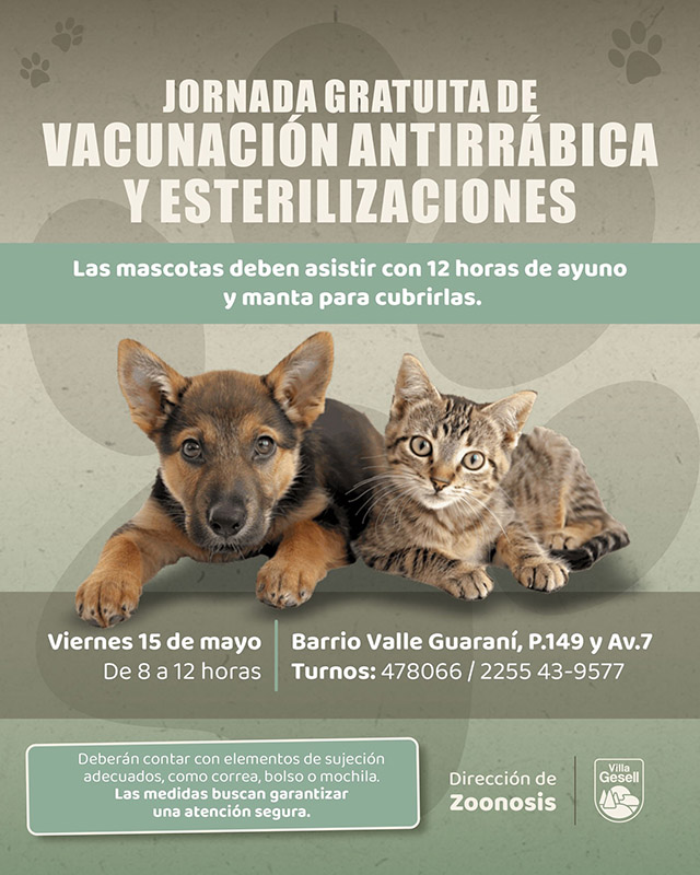 Imagen Noticia